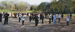 park section 1scaled300