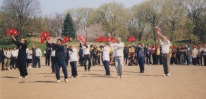 Taiji fan scans 2scaled300