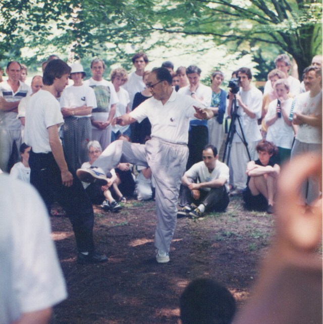 1995 strausbourgh WYN 3